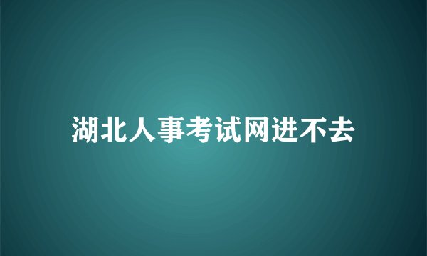湖北人事考试网进不去