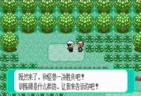 口袋妖怪红宝石详细图文攻略