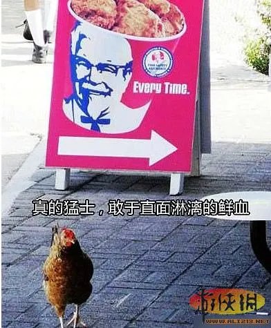 让人瞬间鸡动不已!充满邪恶的镜头的恶搞囧图