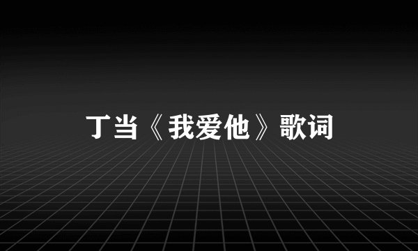 丁当《我爱他》歌词