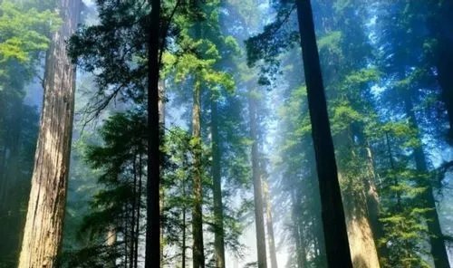 五一旅游好地方