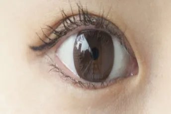 最美双眼皮图片大全