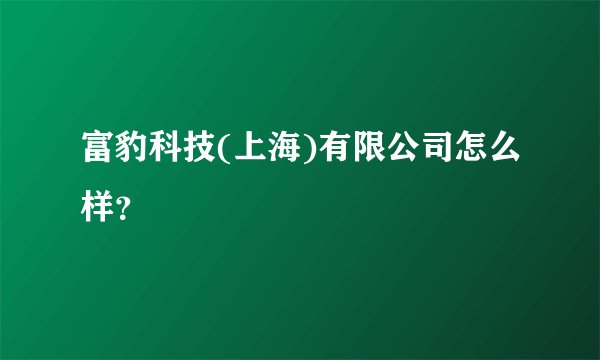 富豹科技(上海)有限公司怎么样？