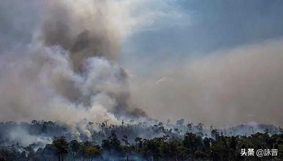 为什么亚马逊雨林会燃烧?这为何是一个大问题?