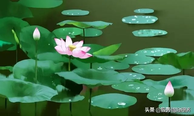 今日头条那个板块火