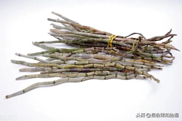 石斛的保存方法各位知道吗?