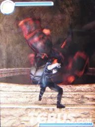 NDS《忍者龙剑传：龙剑》图文流程攻略