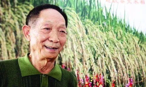 袁隆平宣布了一个什么重大成果？