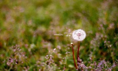 兄弟的情义团结的力量“情谊契合，亲如兄弟”谁无兄弟，如足如手。