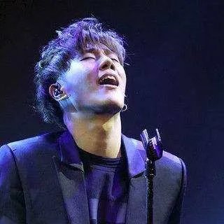 金基利为什么会在网络上爆红？