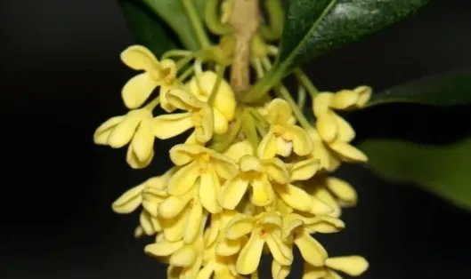 月满中秋，感受古诗词中那如画般的月夜情怀，你怎么看呢？