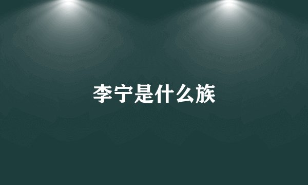 李宁是什么族