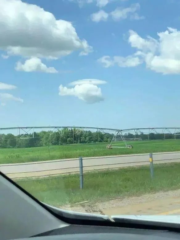 热带雨林惊现鲸鱼尸骨!27张千年一遇的神奇巧合照片