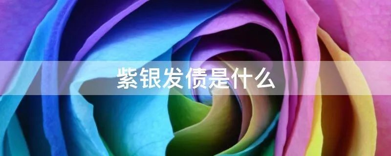 紫银发债是什么
