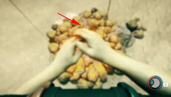 森林水下洞穴在哪?