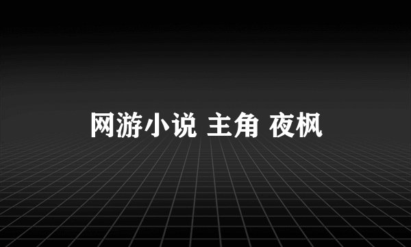 网游小说 主角 夜枫