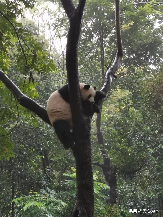游某一地，在当地租房住一个月，然后深度游，可行吗？有何好建议？