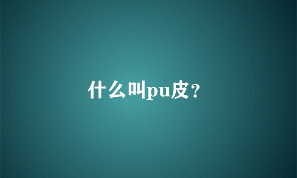 什么叫pu皮?