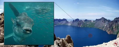 世界十大灵异事件