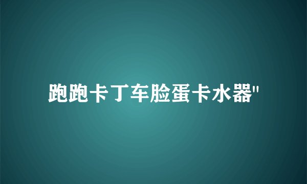 跑跑卡丁车脸蛋卡水器