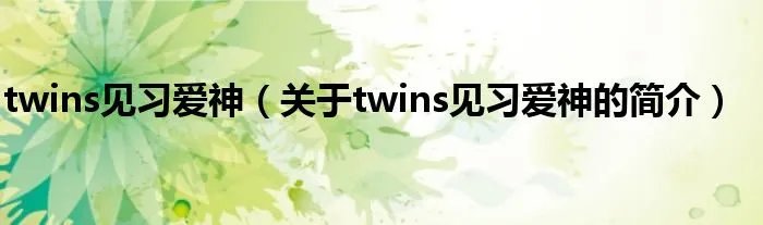 twins见习爱神（关于twins见习爱神的简介）