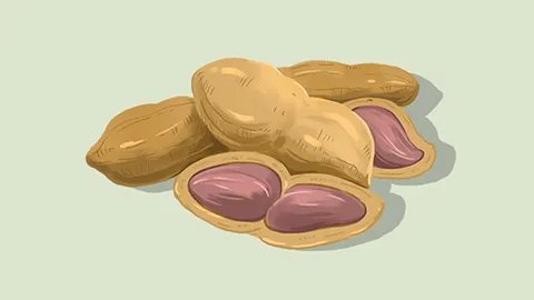 花生可以美白牙齿吗