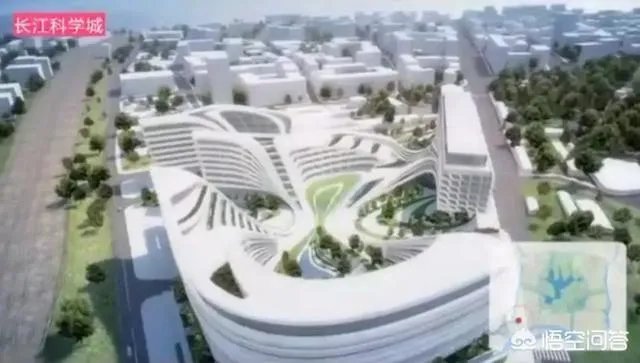 你对长江新城规划前景是如何看的?