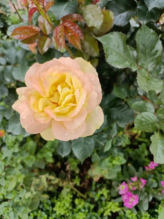 有什么事情是退休了才知道的?