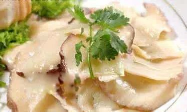 象拔蚌是什么东西 为什么象拔蚌长得那么像男生的