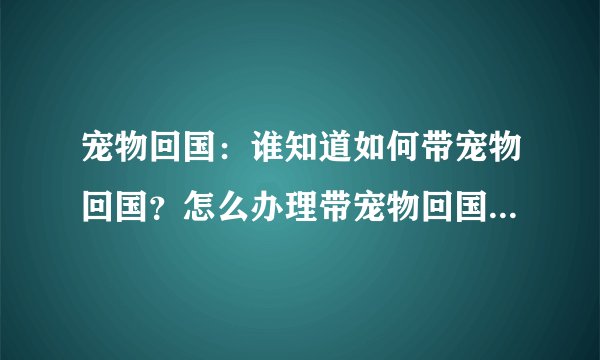 宠物回国:谁知道如何带宠物回国?怎么办理带宠物回国的手续的?