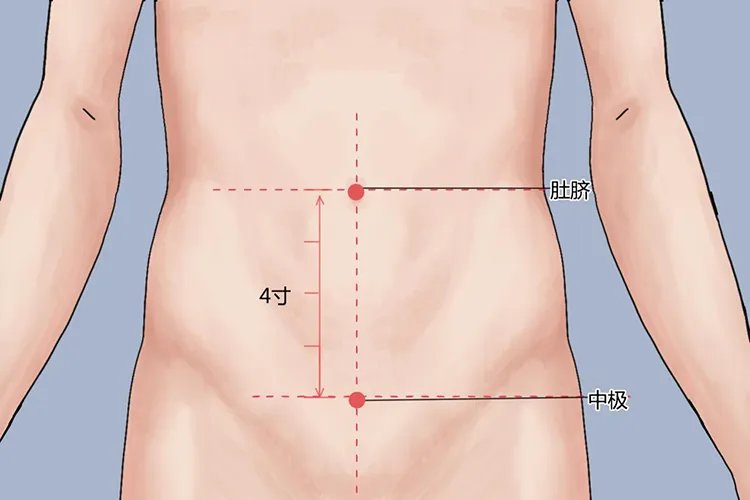中极的准确位置图片及功效