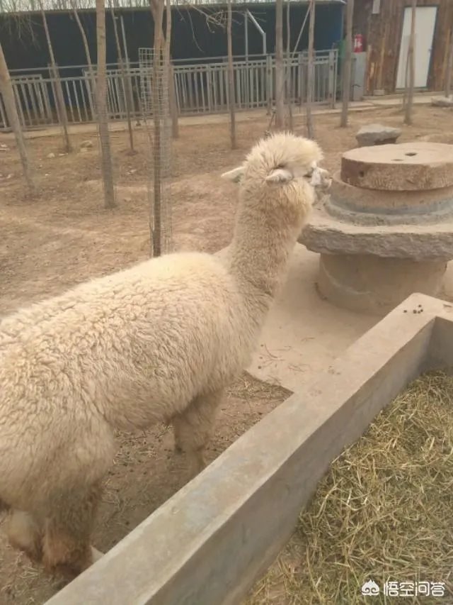 她不爱你了而你还爱着她，是放手还是继续挽留呢？