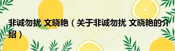 非诚勿扰 文晓艳（关于非诚勿扰 文晓艳的介绍）