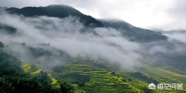 你对江西婺源景区强收卫生费怎么看？