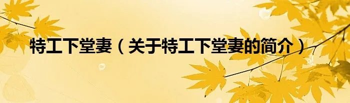 特工下堂妻（关于特工下堂妻的简介）