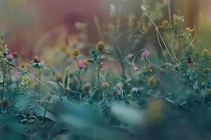 2022年农历腊月二十二是什么节日?腊月二十二有什么说法