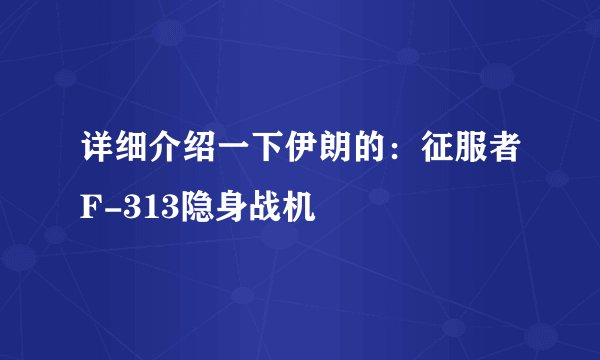 详细介绍一下伊朗的：征服者F-313隐身战机