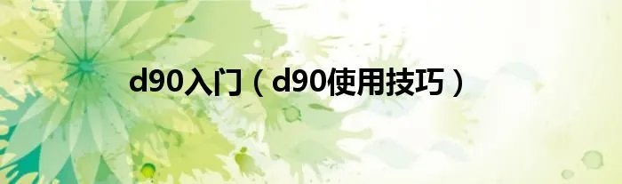 d90入门（d90使用技巧）
