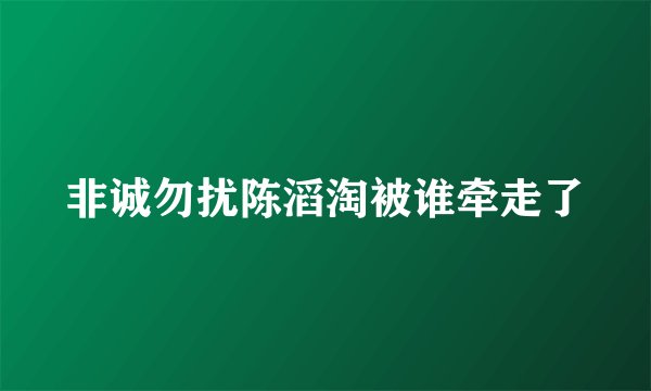 非诚勿扰陈滔淘被谁牵走了