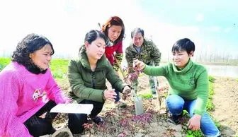 95后女大学生返乡卖面条月收超6万,她是如何做到的?