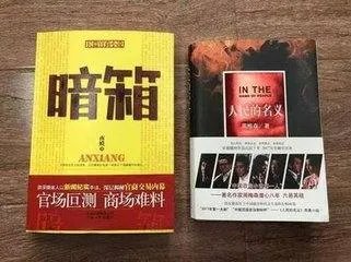 《人民的名义》被诉抄袭吗?