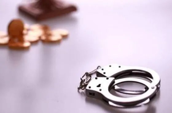 第一弹APP负责人被批捕的原因是什么？