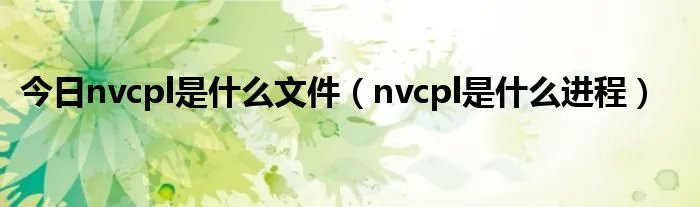 今日nvcpl是什么文件（nvcpl是什么进程）