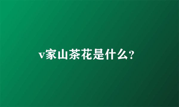v家山茶花是什么？