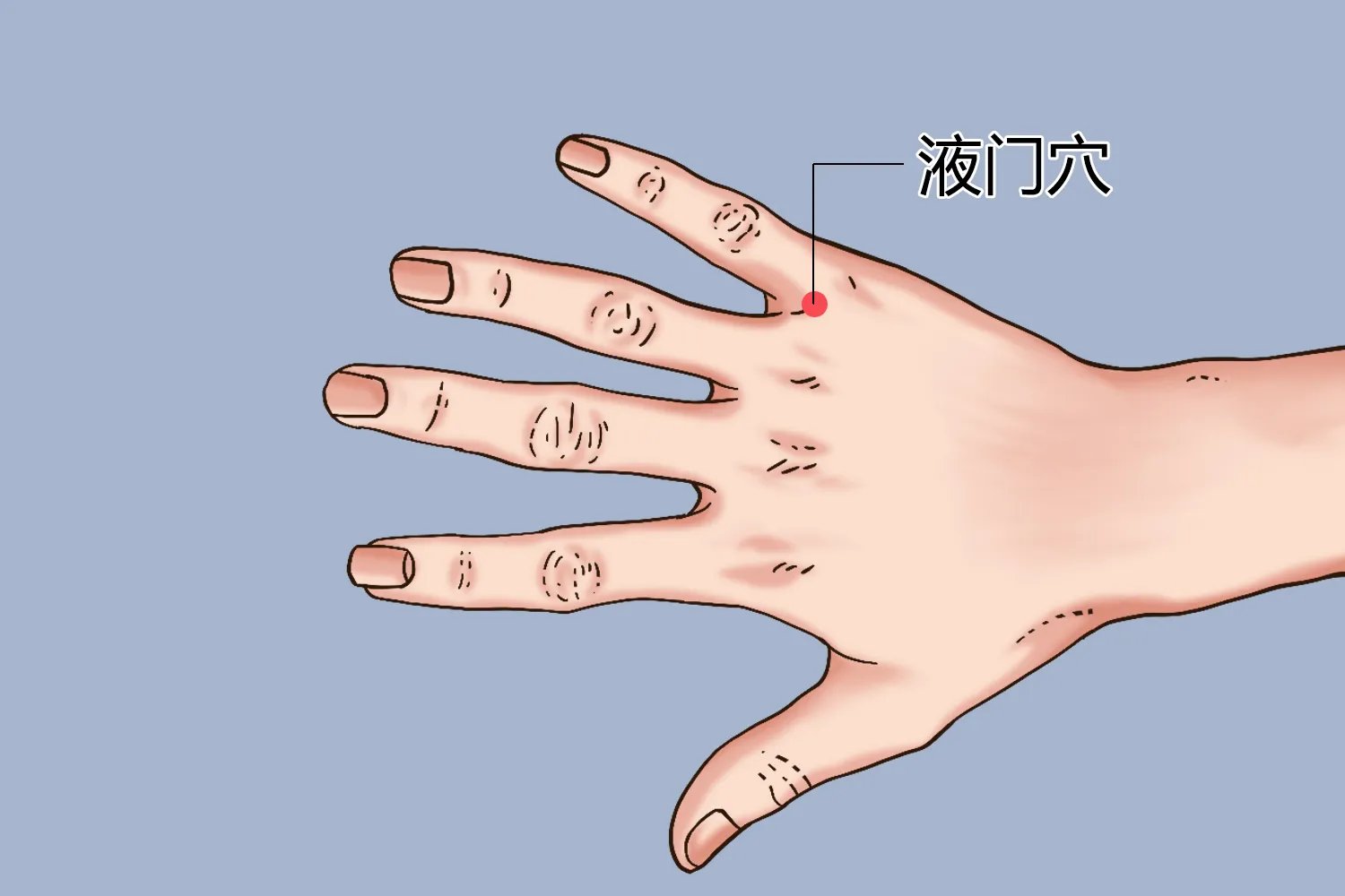 手上液门的位置图