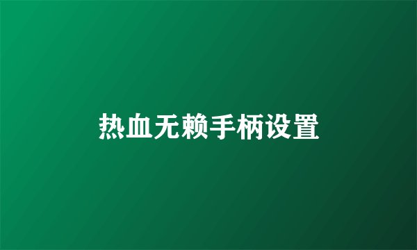热血无赖手柄设置