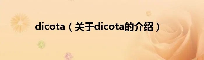 dicota（关于dicota的介绍）