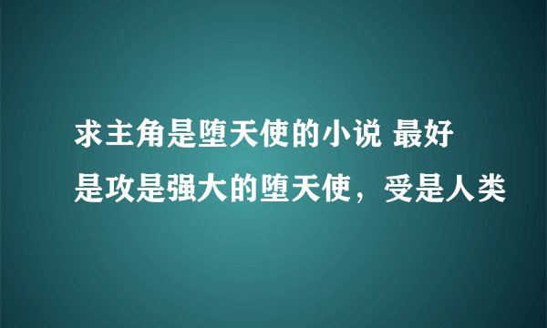 求主角是堕天使的小说 最好是攻是强大的堕天使，受是人类