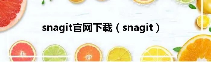 snagit官网下载(snagit)