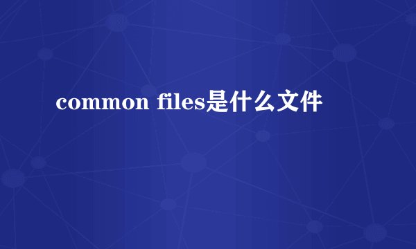 common files是什么文件